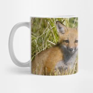 Fox Kit Mug